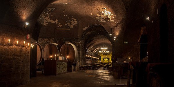 Beim Winzer im Weingut Wein kaufen – meine 5 geheimen Favoriten